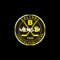 bollnashockey hockey bis bollnas bollnäshockey GIF