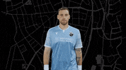 Svs1916 GIF by SV Sandhausen