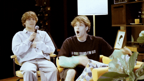 Sturniolo Triplets GIF by Sam McGrath