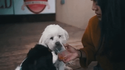 On The Way Drinking GIF by JON ROBERT HALL