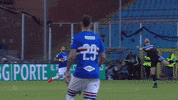 Lazio GIF by Sampdoria