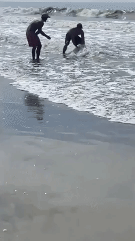 North Carolina Beachgoers Pull Shark From Ocean to 'Remove Hook' From Its Mouth