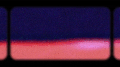 GIF by Jaclyn