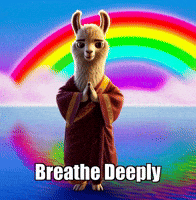 Meditation Stillness GIF by dalaillamazen