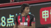 Football Soccer GIF by AFC Bournemouth