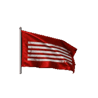 G Dragon Flag Sticker