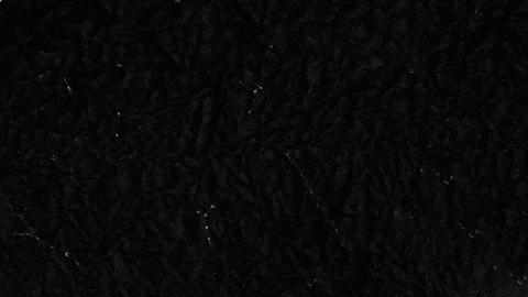 LX_GIFS giphygifmaker andrew yang ubi lx GIF