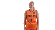 NLbasketball orangelions Sticker