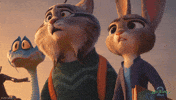 Andy Samberg What GIF by Walt Disney Animation Studios