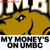 University Of Maryland Baltimore County Retrievers GIF by Bovada