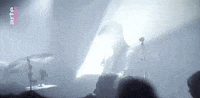 sub pop metz GIF by Sub Pop Records