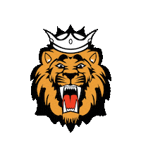 Dodgeball Sticker by Newcastle Kings