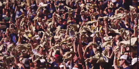 pitt panthers football GIF