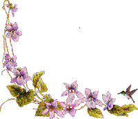 vine STICKER