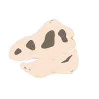 Skull History Sticker