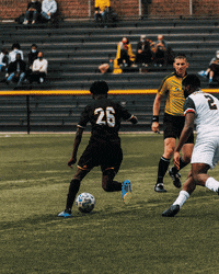 GIF by Milwaukee Panthers