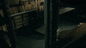 Reefbreak GIF by ABC Network