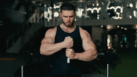 GRIPZILLA giphyupload GIF