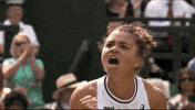 Grand Slam Sport GIF by Wimbledon