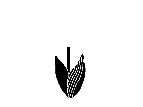 フラワー 花 Sticker