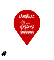 PizzaHutRO pizza skate pat lac Sticker