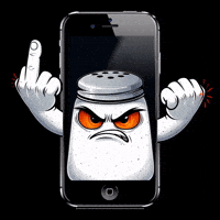 Breaking The Fourth Wall Middle Finger GIF by SALT
