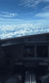 raafchaudhary plane pilot airbus airbusa320 GIF