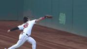 Sport Baseball GIF by MLB
