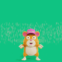 Touch Down Game Day GIF by Grind