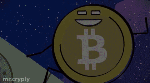 To The Moon Bitcoin GIF by Mr.Cryply