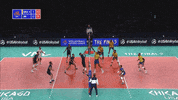 GIF by Volleyball World