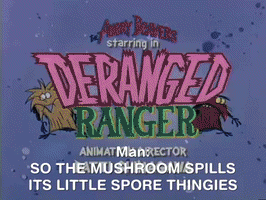 nickrewind nicksplat angry beavers GIF