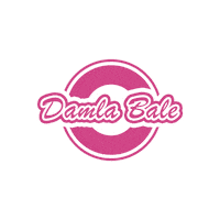 damlabale ballet ballerina bale damla Sticker