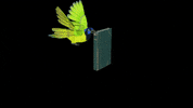 SanJorge education book peek art gif GIF