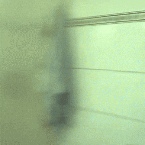 Cute Girl GIF