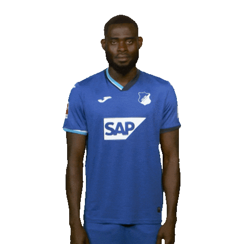 Posing Line Up Sticker by Bundesliga