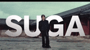 Netflix Suga Bts GIF