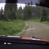 Too Fast Motorsports GIF by FIA European Rally Championship