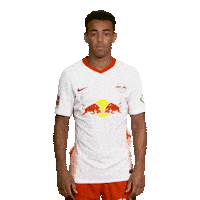 Posing Line Up Sticker by Bundesliga