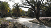 GIF by University of Florida