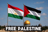 Palestine Gaza GIF