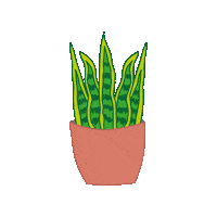 Plants Flores Sticker