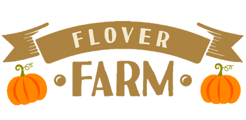 Autumn Pumpkin Sticker by Flover
