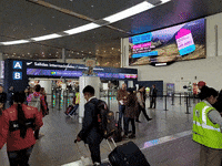 GIF by Wingo