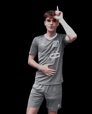 Happy Dance GIF by Vfb.1919.vacha