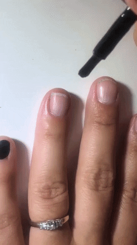 melodyhammer giphyupload GIF