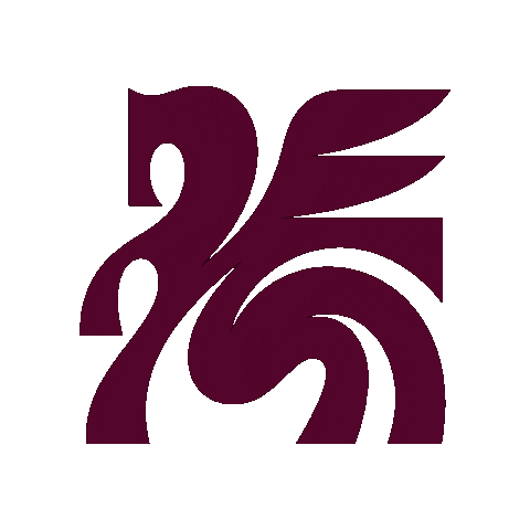 trinityfc giphyupload dallas womens soccer usl Sticker