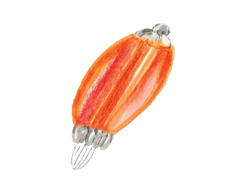 Christmas Fruit Sticker