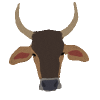 Cow Animal Shelter Sticker by Tierra de Animales