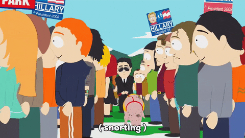hillary pig GIF by South Park 